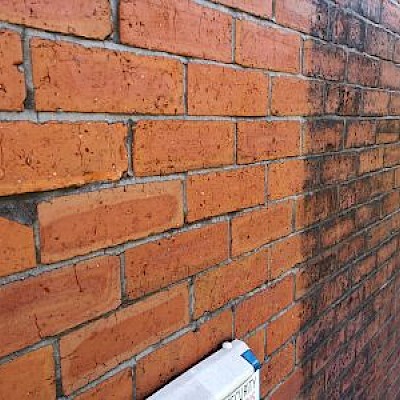 Using chemicals to gently clean brick/stonework.